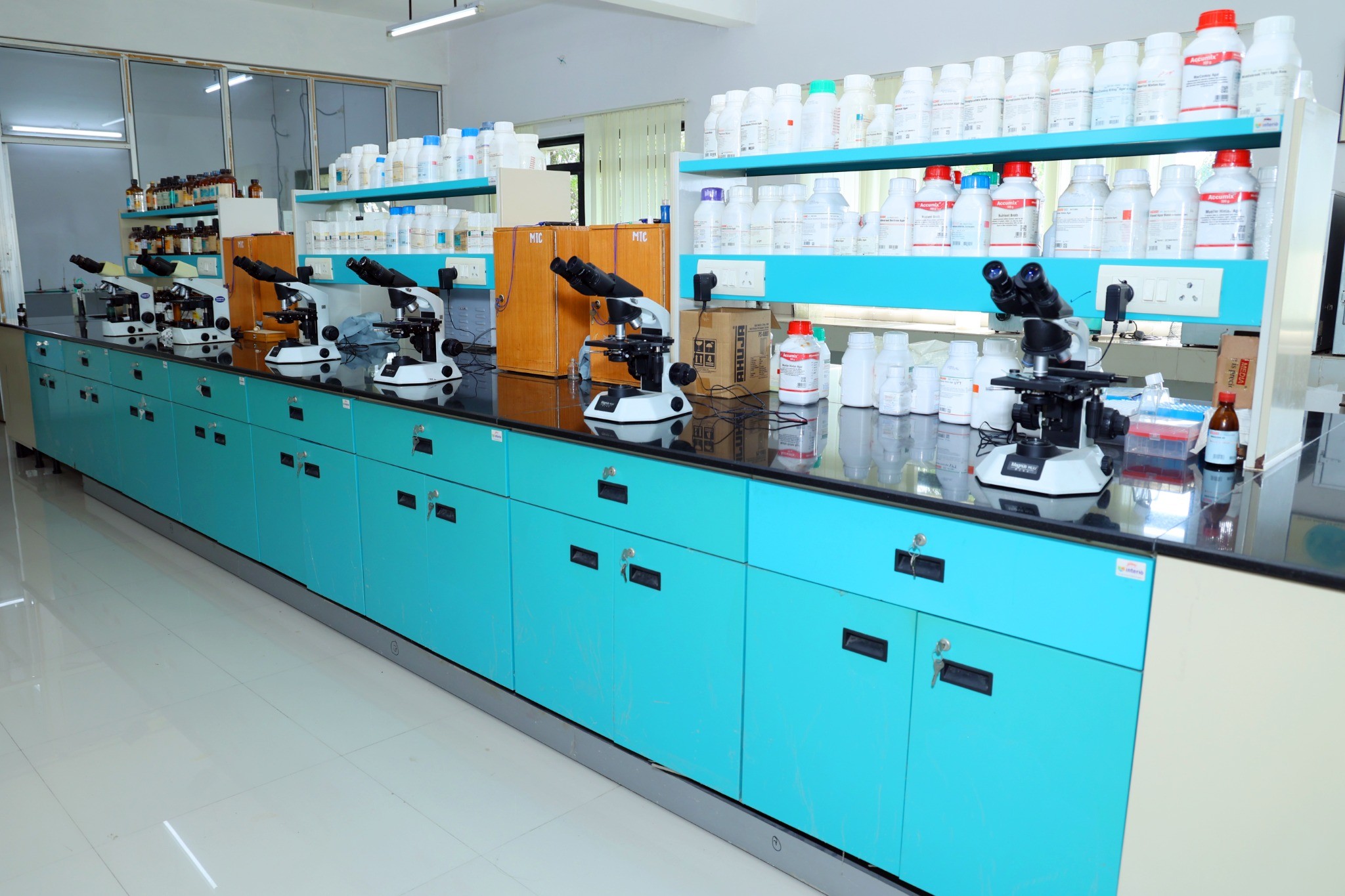 Microbiology Bacteriology Laboratory